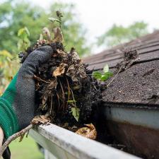 Gutter cleaning